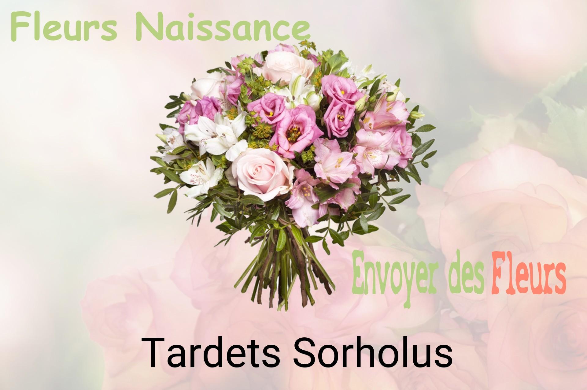 Bouquet de fleurs de naissance livré à Tardets-Sorholus
